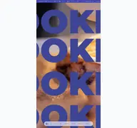 Kleine Seitenvorschau von oohcookies.de