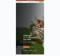 Kleine Seitenvorschau von vogelkoerbchen.de
