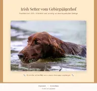 Kleine Seitenvorschau von gebirgsjaegerhof.de