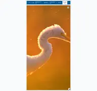 Kleine Seitenvorschau von visitfloridakeys.com