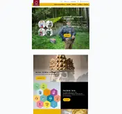 Kleine Seitenvorschau von muenzeoesterreich.at