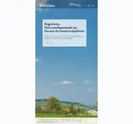 Kleine Seitenvorschau von riggisberg.ch