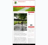 Kleine Seitenvorschau von sg-biesenrode.de