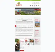 Kleine Seitenvorschau von gelenau.de