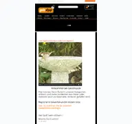 Kleine Seitenvorschau von gelo-shop.de