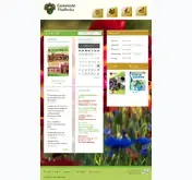 Kleine Seitenvorschau von gemeinde-thallwitz.de