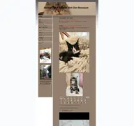 Kleine Seitenvorschau von maine-coons-von-der-rossaue.de