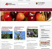 Kleine Seitenvorschau von obstbau.rlp.de