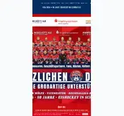Kleine Seitenvorschau von schoenheider-woelfe.de