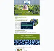 Kleine Seitenvorschau von ostsee-heidelbeeren.de