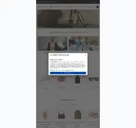 Kleine Seitenvorschau von mybestbrands.de