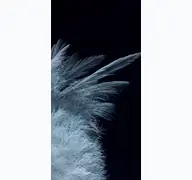 Kleine Seitenvorschau von floridatv-entertainment.de