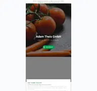 Kleine Seitenvorschau von adam-theis.de