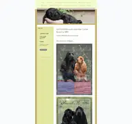 Kleine Seitenvorschau von von-der-rheinsalix.de