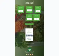 Kleine Seitenvorschau von papaya-service.de