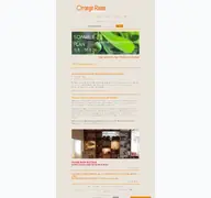 Kleine Seitenvorschau von orange-room.de