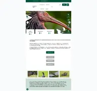 Kleine Seitenvorschau von waldrappteam.at