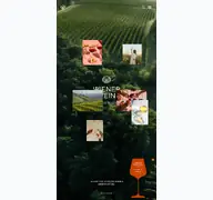 Kleine Seitenvorschau von wienerwein.at
