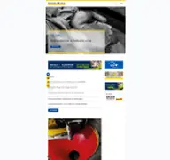 Kleine Seitenvorschau von schuettgutmagazin.de