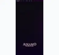 Kleine Seitenvorschau von adiamo-bad-oeynhausen.de