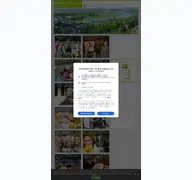 Kleine Seitenvorschau von dresden-online.de