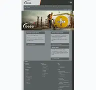 Kleine Seitenvorschau von gese-gmbh.de
