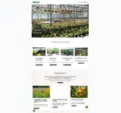 Kleine Seitenvorschau von welter-gartencenter.de