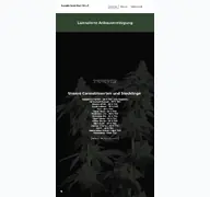 Kleine Seitenvorschau von cscthc.de