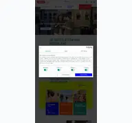 Kleine Seitenvorschau von stayokay.com