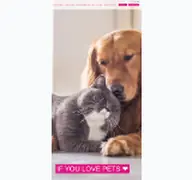 Kleine Seitenvorschau von schulzeportapet.de