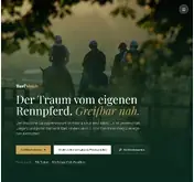 Kleine Seitenvorschau von turfmatch.de