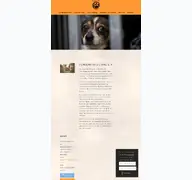 Kleine Seitenvorschau von hundenothilfe-owl.de