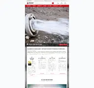 Kleine Seitenvorschau von schwan-baushop.de