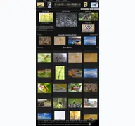 Kleine Seitenvorschau von naturfotografen-forum.de