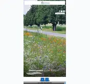 Kleine Seitenvorschau von steinhausen-rottum.de