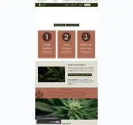 Kleine Seitenvorschau von cannabis-nordost.de