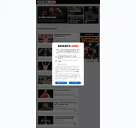 Kleine Seitenvorschau von bokser.org