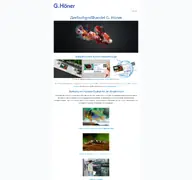 Kleine Seitenvorschau von g-hoener.de