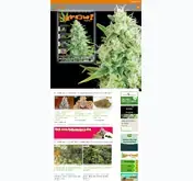 Kleine Seitenvorschau von grow.de