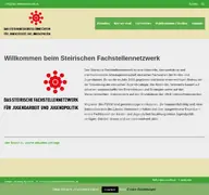 Kleine Seitenvorschau von fachstellennetzwerk.at