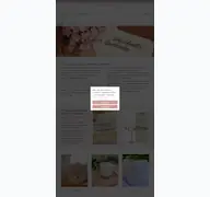 Kleine Seitenvorschau von manufaktur-herzlich.de