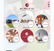 Kleine Seitenvorschau von scmelle.de