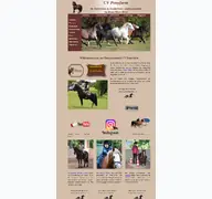 Kleine Seitenvorschau von cv-ponyfarm.de