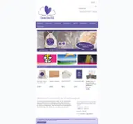 Kleine Seitenvorschau von afgshop.de