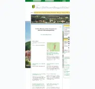 Kleine Seitenvorschau von stadt-bgb.de