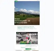 Kleine Seitenvorschau von fenaco.ch