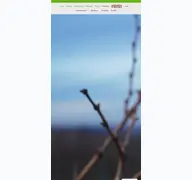 Kleine Seitenvorschau von welker-emmerich.de