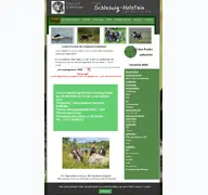 Kleine Seitenvorschau von drahthaar-sh.de