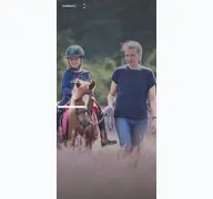 Kleine Seitenvorschau von glockenhof-studtmann.de