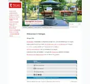 Kleine Seitenvorschau von tuebingen.de